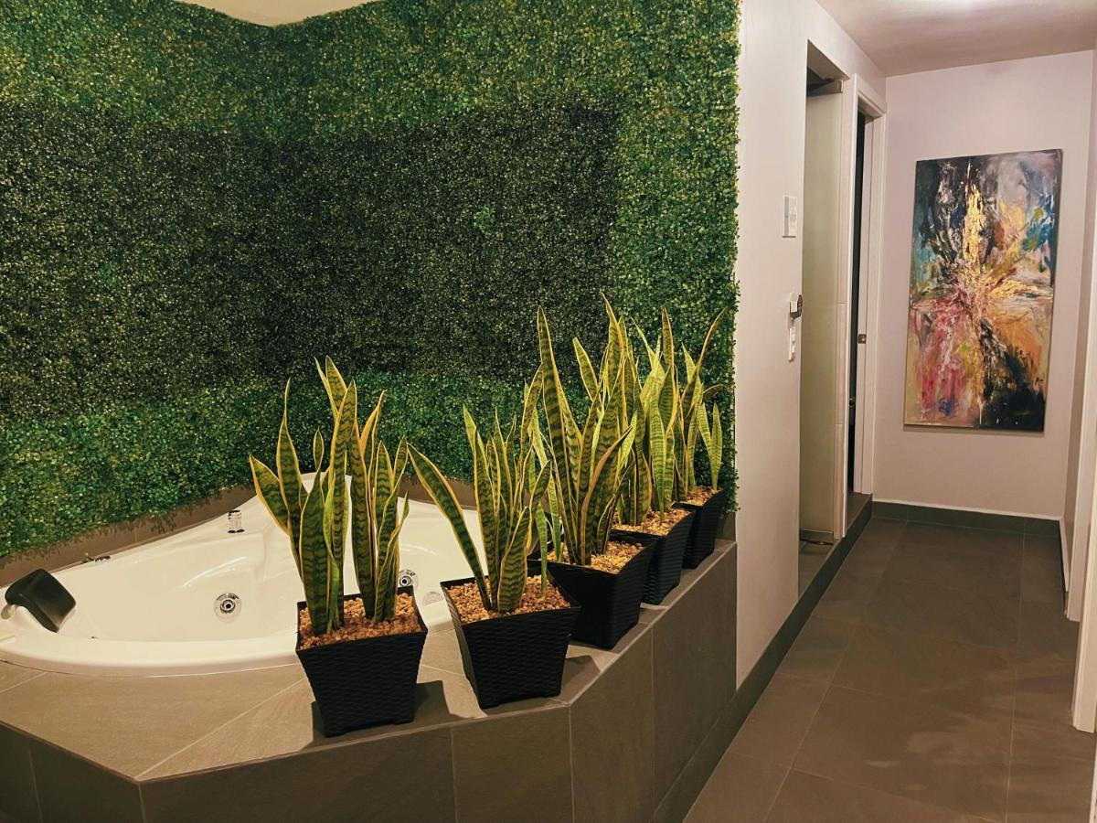 Suites Layfer, Cordoba, Veracruz, Mexico Dış mekan fotoğraf